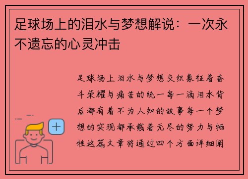 足球场上的泪水与梦想解说：一次永不遗忘的心灵冲击