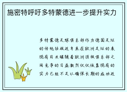 施密特呼吁多特蒙德进一步提升实力