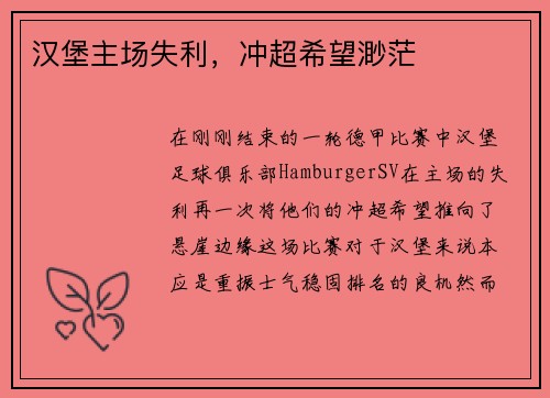 汉堡主场失利，冲超希望渺茫