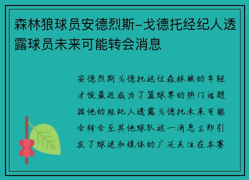 森林狼球员安德烈斯-戈德托经纪人透露球员未来可能转会消息