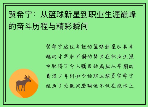 贺希宁：从篮球新星到职业生涯巅峰的奋斗历程与精彩瞬间